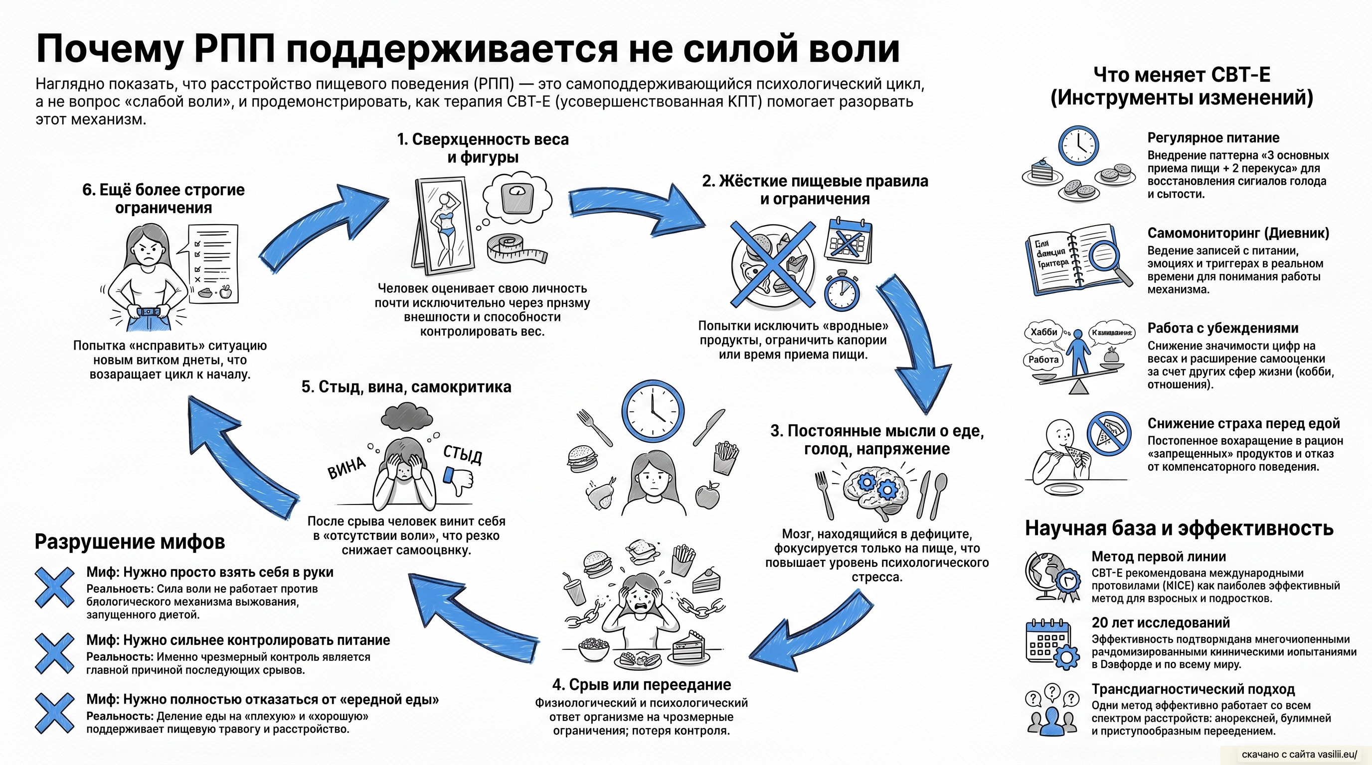 Инфографика поддерживающего цикла при РПП
